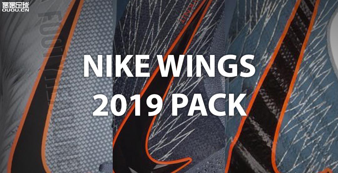 Ϳ2019 Wings װ