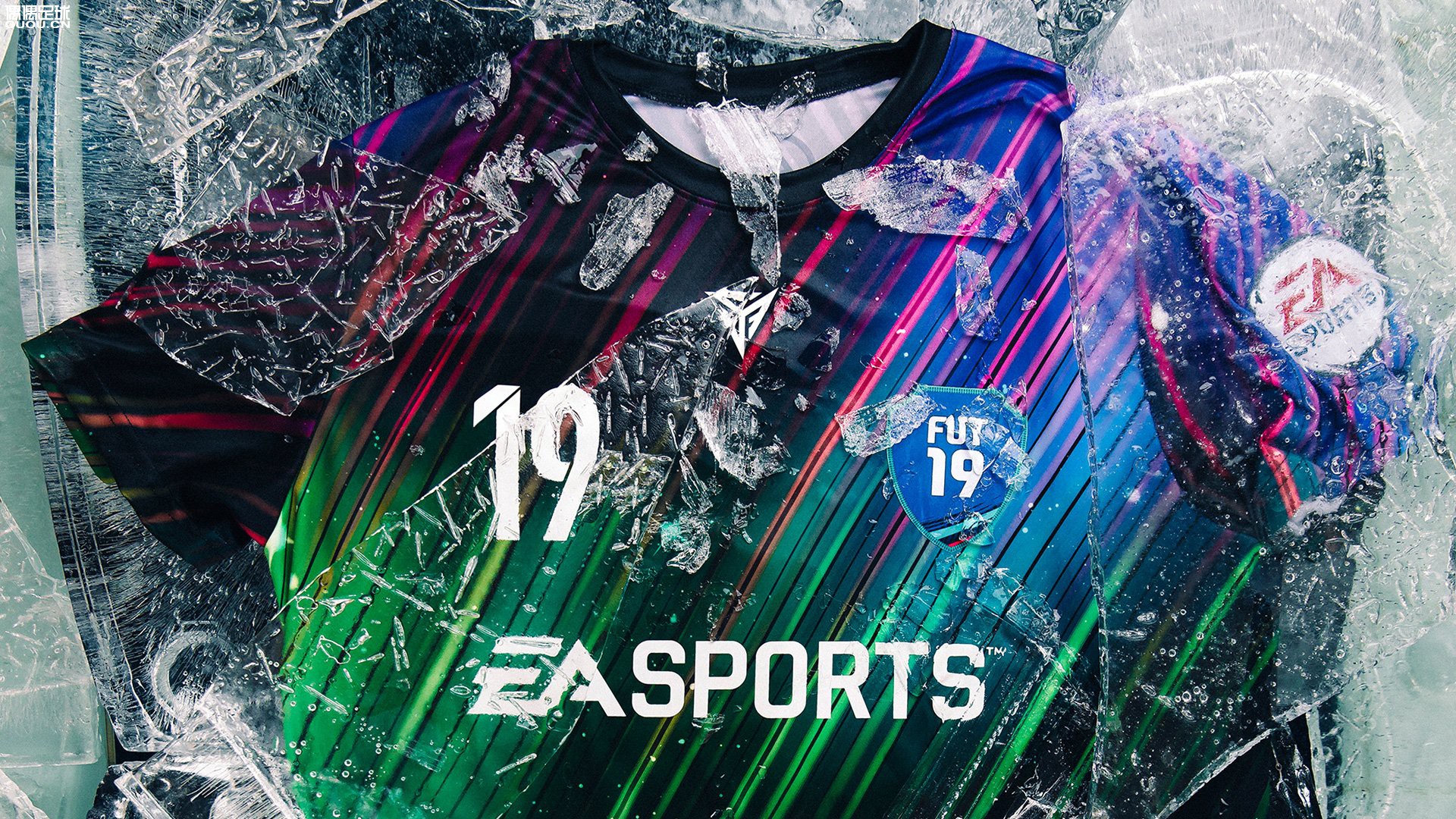 EA SPORTSǳ